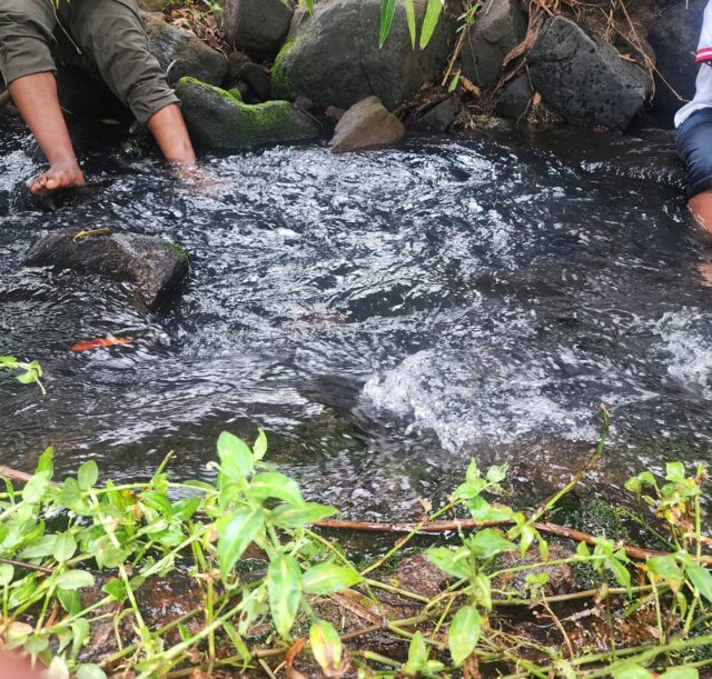 WhatsApp Image 2026-03-12 at 10.20.34